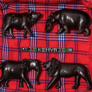 Africa’s Wildlife Gift Box