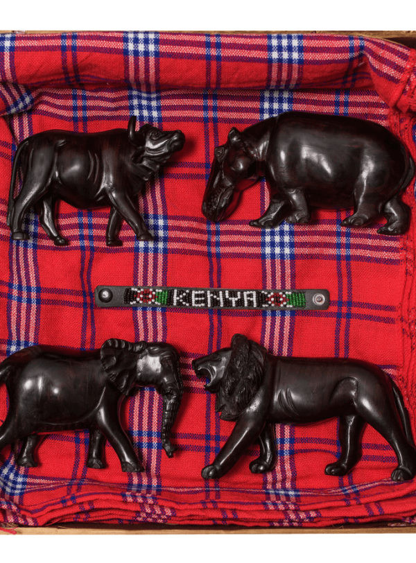 Africa’s Wildlife Gift Box